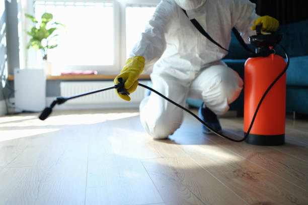 Reliable Biohazard Cleanup contractor in Frazier Park, CA by Trauma Clean Pros